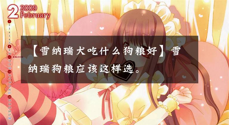 【雪纳瑞犬吃什么狗粮好】雪纳瑞狗粮应该这样选。文章配图