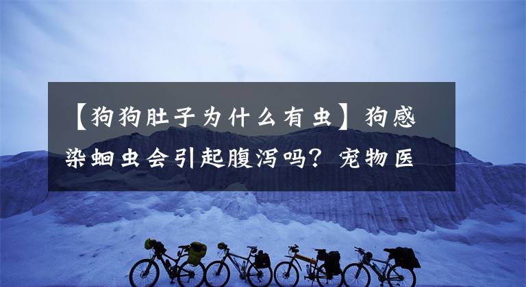 【狗狗肚子为什么有虫】狗感染蛔虫会引起腹泻吗？宠物医生说这些疾病都是它引起的。文章配图