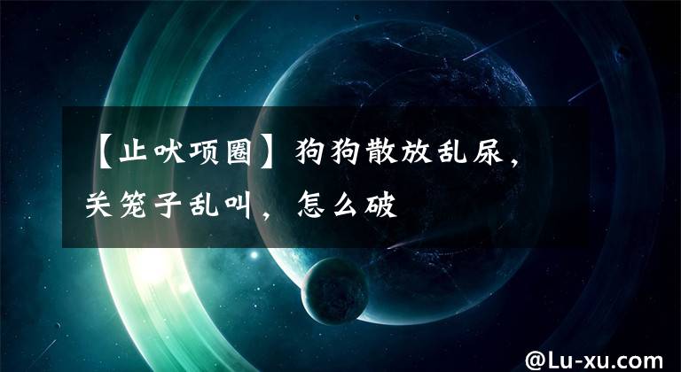 【止吠项圈】狗狗散放乱尿，关笼子乱叫，怎么破