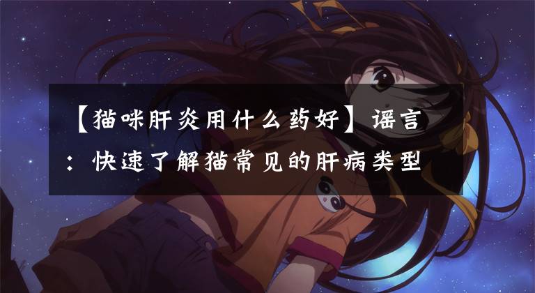 【猫咪肝炎用什么药好】谣言：快速了解猫常见的肝病类型，具体有哪些分类？文章配图