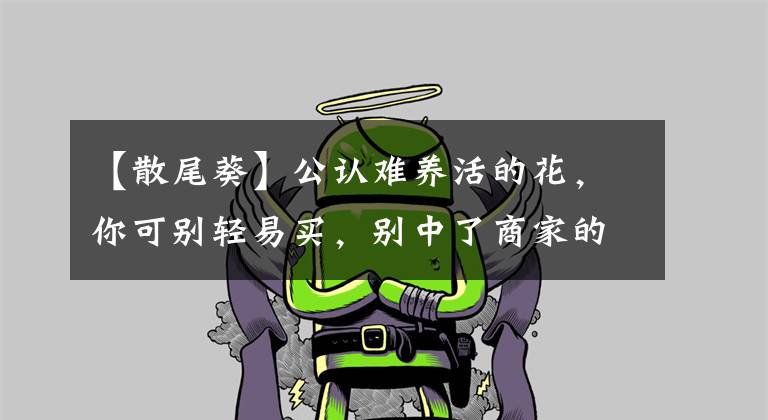 【散尾葵】公认难养活的花，你可别轻易买，别中了商家的“邪道”，白花钱