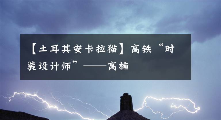 【土耳其安卡拉猫】高铁“时装设计师”——高楠