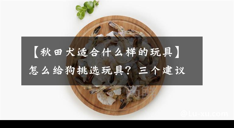 【秋田犬适合什么样的玩具】怎么给狗挑选玩具？三个建议是让你买适合它的玩具。那又是个爱玩的玩具。文章配图
