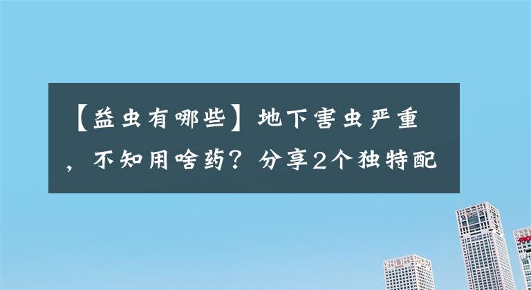 【益虫有哪些】地下害虫严重，不知用啥药？分享2个独特配方，再也不用发愁了