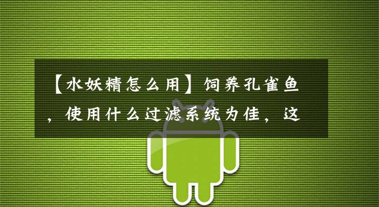 【水妖精怎么用】饲养孔雀鱼，使用什么过滤系统为佳，这也能成为大家的难题吗？