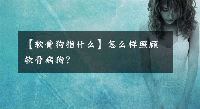 【软骨狗指什么】怎么样照顾软骨病狗？