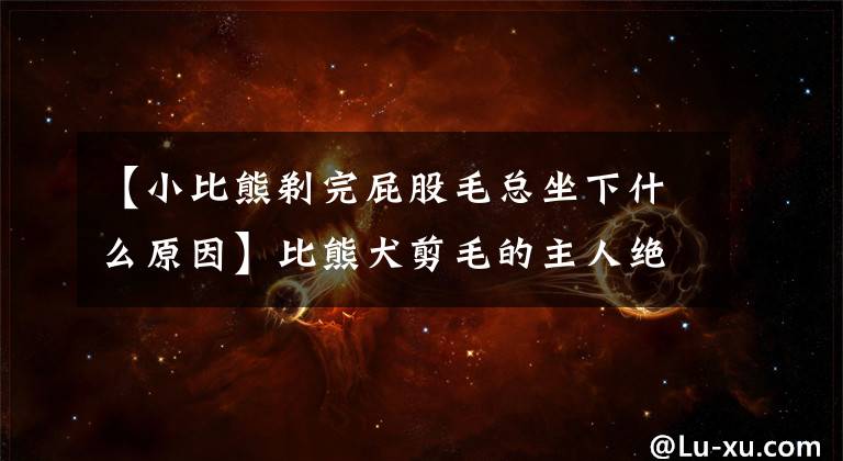 【小比熊剃完屁股毛总坐下什么原因】比熊犬剪毛的主人绝对不能犯的几个误会。文章配图
