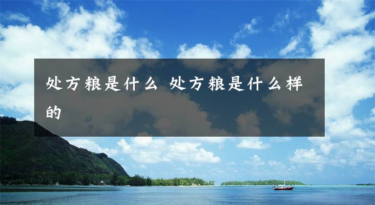 处方粮是什么 处方粮是什么样的文章配图