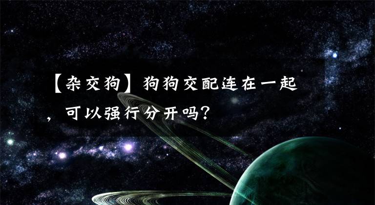 【杂交狗】狗狗交配连在一起，可以强行分开吗？