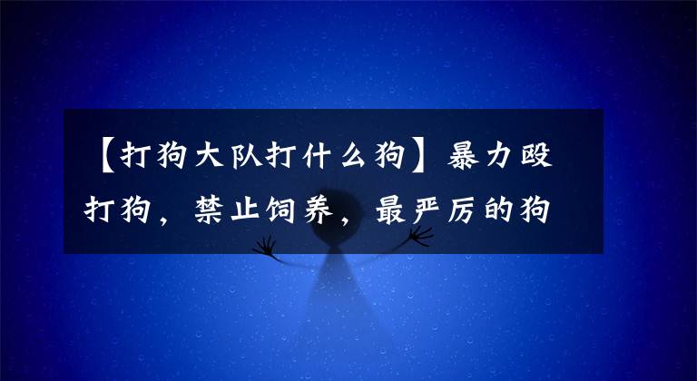 【打狗大队打什么狗】暴力殴打狗，禁止饲养，最严厉的狗的命令.因为狗而发生的第一次舆论战什么时候停止营业？文章配图