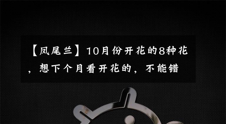 【凤尾兰】10月份开花的8种花，想下个月看开花的，不能错过