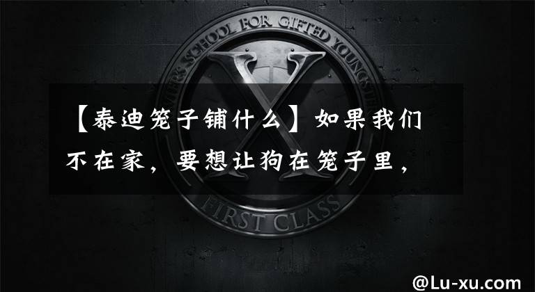 【泰迪笼子铺什么】如果我们不在家，要想让狗在笼子里，该怎么办？文章配图