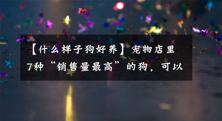 【什么样子狗好养】宠物店里7种“销售量最高”的狗，可以放心文章配图