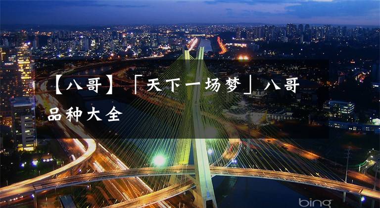 【八哥】「天下一场梦」八哥品种大全文章配图