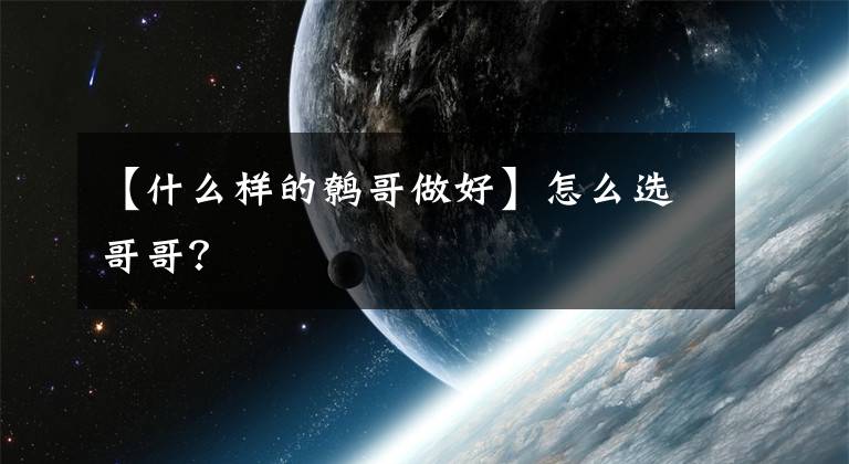 【什么样的鹩哥做好】怎么选哥哥？