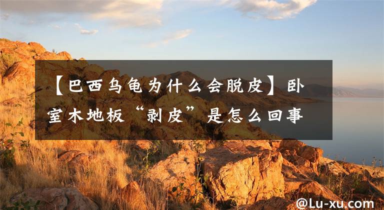 【巴西乌龟为什么会脱皮】卧室木地板“剥皮”是怎么回事？原来是它的问题！文章配图