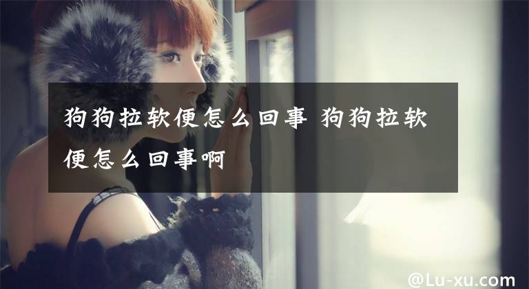 狗狗拉软便怎么回事 狗狗拉软便怎么回事啊文章配图