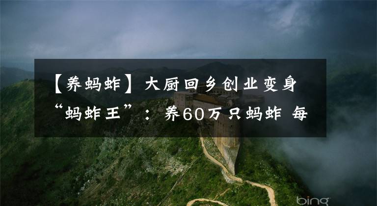 【养蚂蚱】大厨回乡创业变身“蚂蚱王”：养60万只蚂蚱 每天吃2000斤草