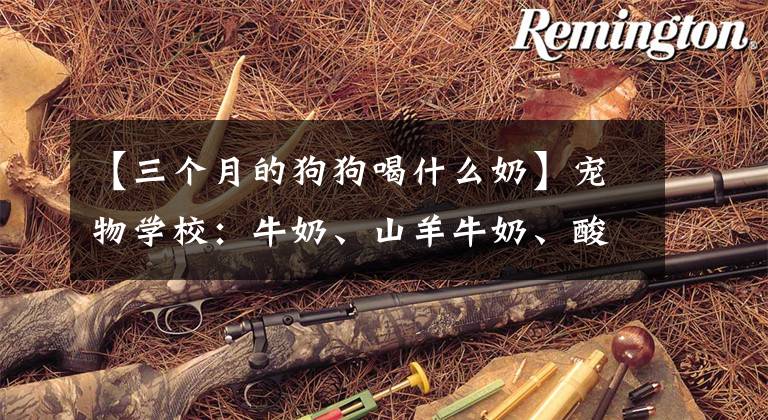 【三个月的狗狗喝什么奶】宠物学校：牛奶、山羊牛奶、酸奶和狗可以喝什么牛奶？文章配图