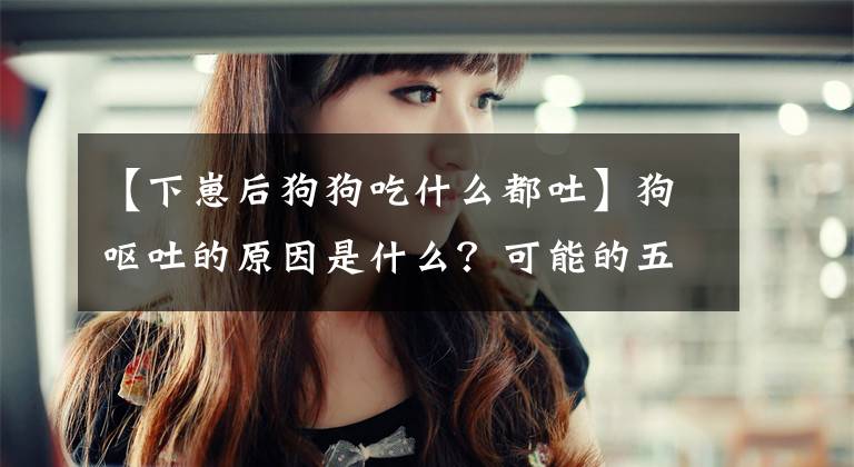 【下崽后狗狗吃什么都吐】狗呕吐的原因是什么？可能的五个原因都列出来了文章配图