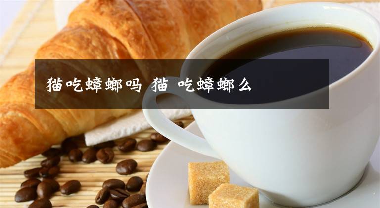 猫吃蟑螂吗 猫 吃蟑螂么文章配图