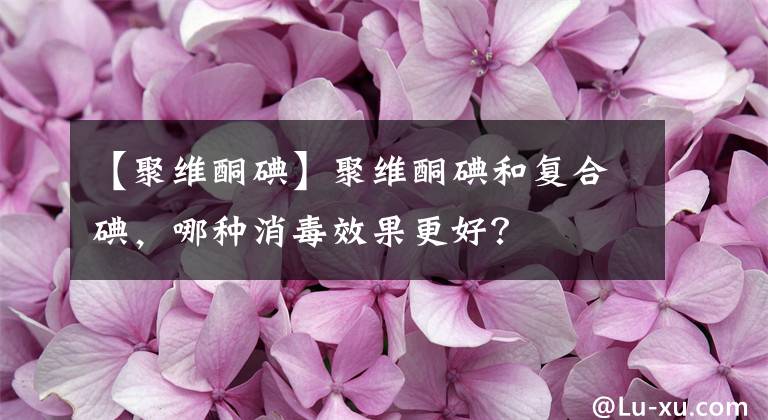 【聚维酮碘】聚维酮碘和复合碘，哪种消毒效果更好？