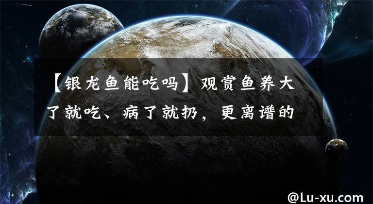 【银龙鱼能吃吗】观赏鱼养大了就吃、病了就扔，更离谱的，还有杀鸡取卵的养鱼模式