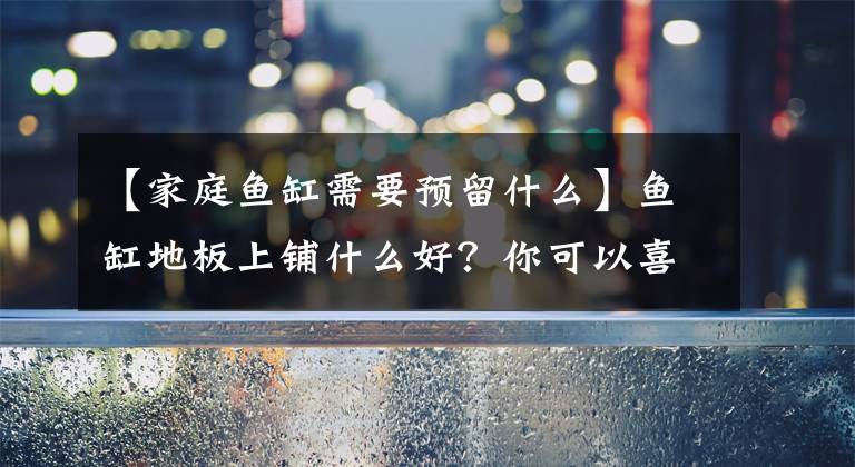 【家庭鱼缸需要预留什么】鱼缸地板上铺什么好？你可以喜欢这三个文章配图