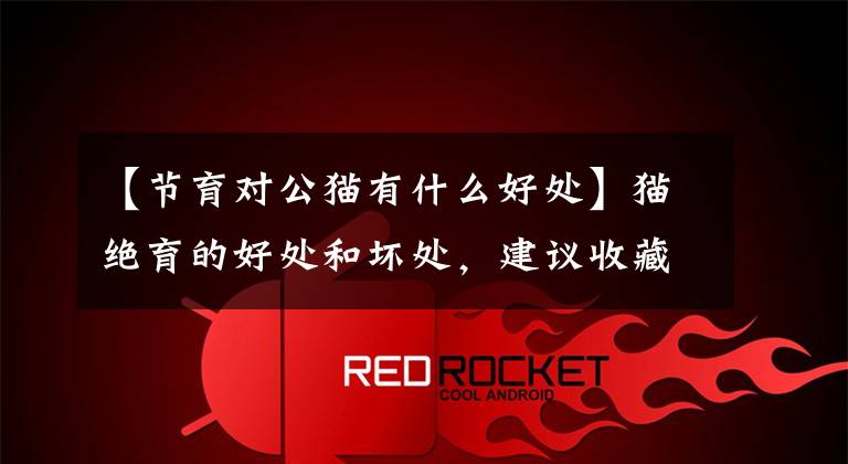 【节育对公猫有什么好处】猫绝育的好处和坏处，建议收藏，以后可以用文章配图