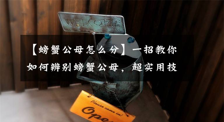 【螃蟹公母怎么分】一招教你如何辨别螃蟹公母，超实用技巧，再也不会出错了