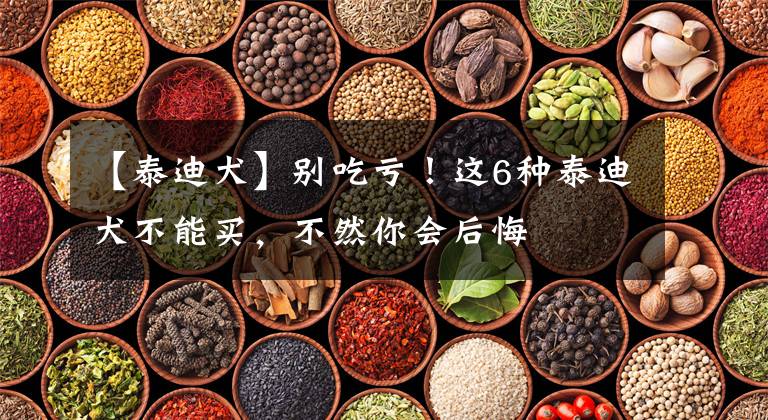 【泰迪犬】别吃亏！这6种泰迪犬不能买，不然你会后悔文章配图