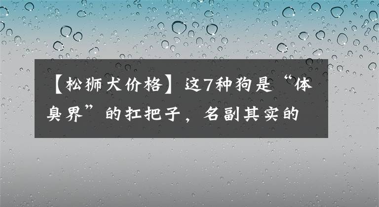 【松狮犬价格】这7种狗是“体臭界”的扛把子，名副其实的“臭狗”