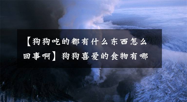 【狗狗吃的都有什么东西怎么回事啊】狗狗喜爱的食物有哪些？哪些食物又是狗狗不能吃的？文章配图