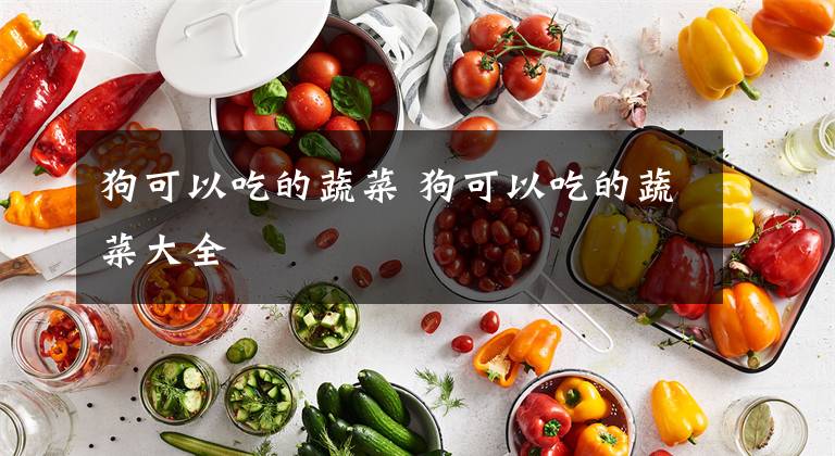 狗可以吃的蔬菜 狗可以吃的蔬菜大全文章配图