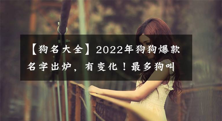 【狗名大全】2022年狗狗爆款名字出炉，有变化！最多狗叫这些名字