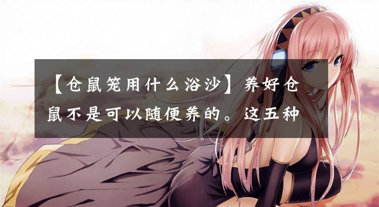 【仓鼠笼用什么浴沙】养好仓鼠不是可以随便养的。这五种仓鼠用品没有准备好，暂时不要养文章配图