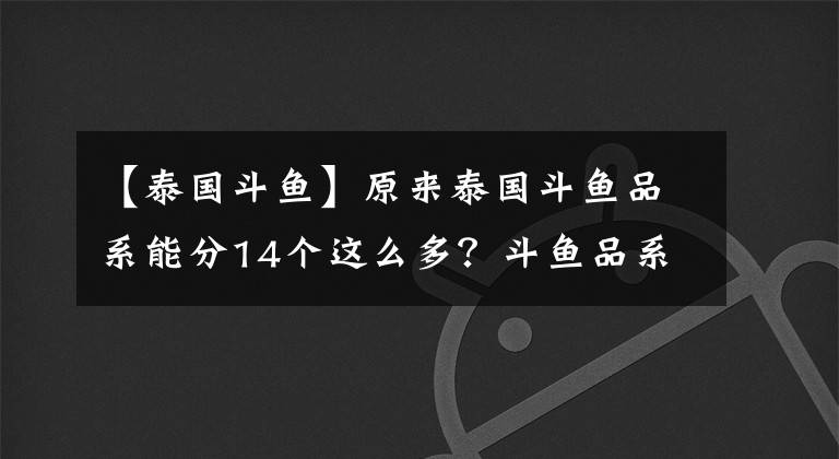 【泰国斗鱼】原来泰国斗鱼品系能分14个这么多？斗鱼品系大全与饲养1