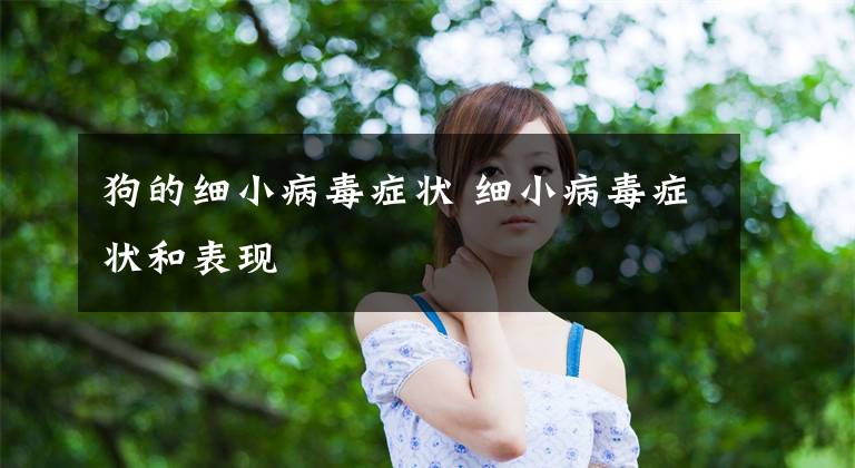 狗的细小病毒症状 细小病毒症状和表现文章配图