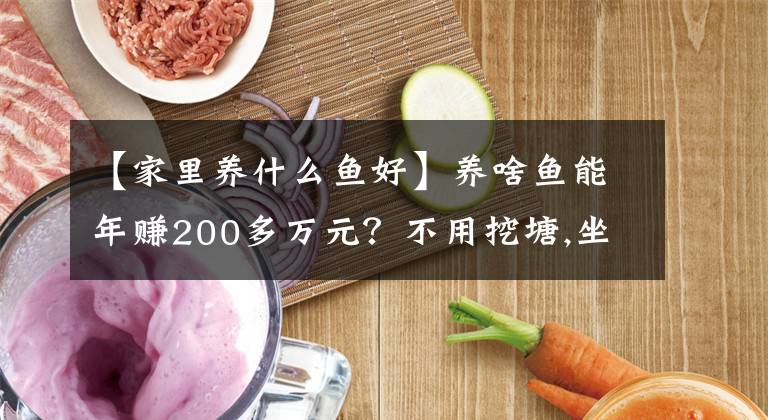 【家里养什么鱼好】养啥鱼能年赚200多万元？不用挖塘,坐在屋子里就能养,亩产6万多斤