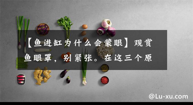 【鱼进缸为什么会蒙眼】观赏鱼眼罩，别紧张。在这三个原因中，找到治疗方案也可以成为有效的预防文章配图