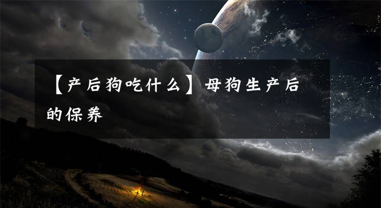 【产后狗吃什么】母狗生产后的保养