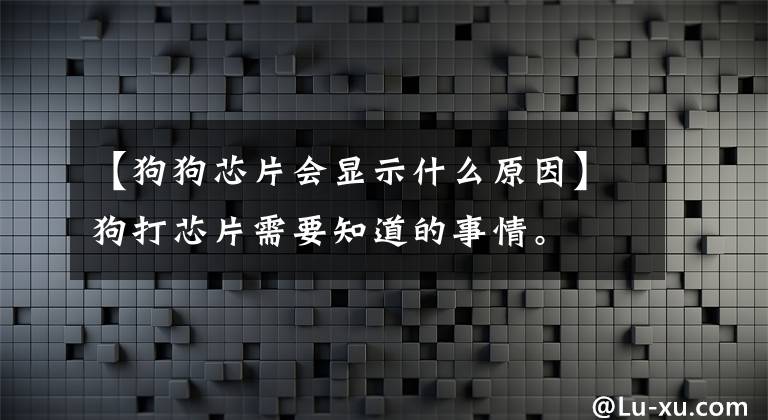 【狗狗芯片会显示什么原因】狗打芯片需要知道的事情。文章配图