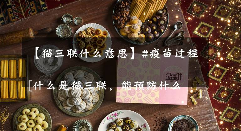 【猫三联什么意思】#疫苗过程 [什么是猫三联，能预防什么疾病]: 指向.文章配图