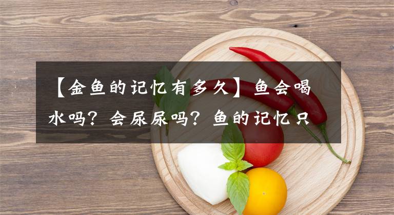 【金鱼的记忆有多久】鱼会喝水吗？会尿尿吗？鱼的记忆只有7秒？更有趣的是…