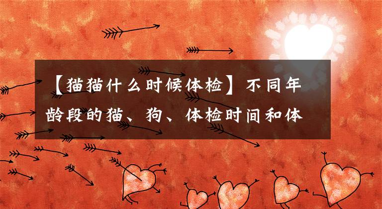 【猫猫什么时候体检】不同年龄段的猫、狗、体检时间和体检项目该如何选择？文章配图
