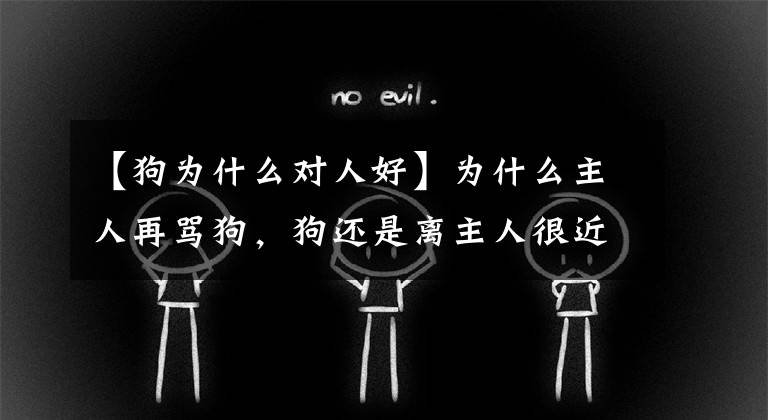 【狗为什么对人好】为什么主人再骂狗，狗还是离主人很近？原因太疼了文章配图