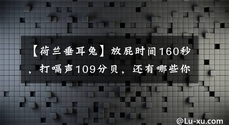 【荷兰垂耳兔】放屁时间160秒，打嗝声109分贝，还有哪些你不知道的奇怪世界纪录