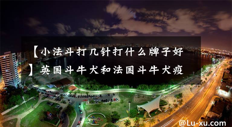 【小法斗打几针打什么牌子好】英国斗牛犬和法国斗牛犬疫苗打了几针？如果想驱虫或打疫苗，该怎么办？文章配图
