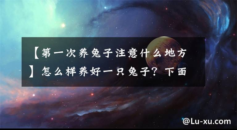 【第一次养兔子注意什么地方】怎么样养好一只兔子？下面这六个小点一定要记住。文章配图