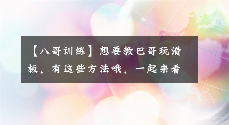 【八哥训练】想要教巴哥玩滑板，有这些方法哦，一起来看看吧